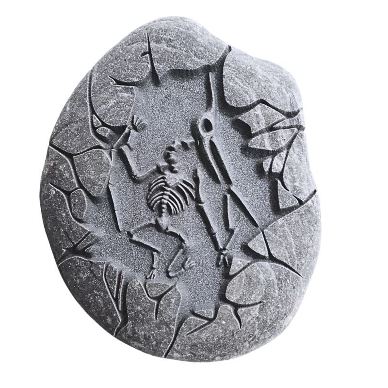 Engraved round stone featuring a detailed Pterodactylus fossil design with a cracked surface effect.